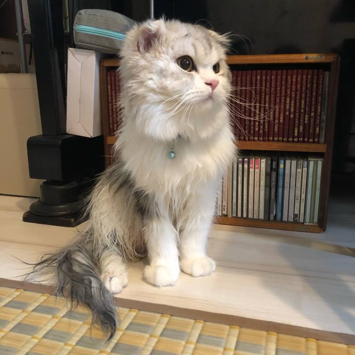 5f46ba4e d292 4265 a88f b909389f1ea6 1617313760694