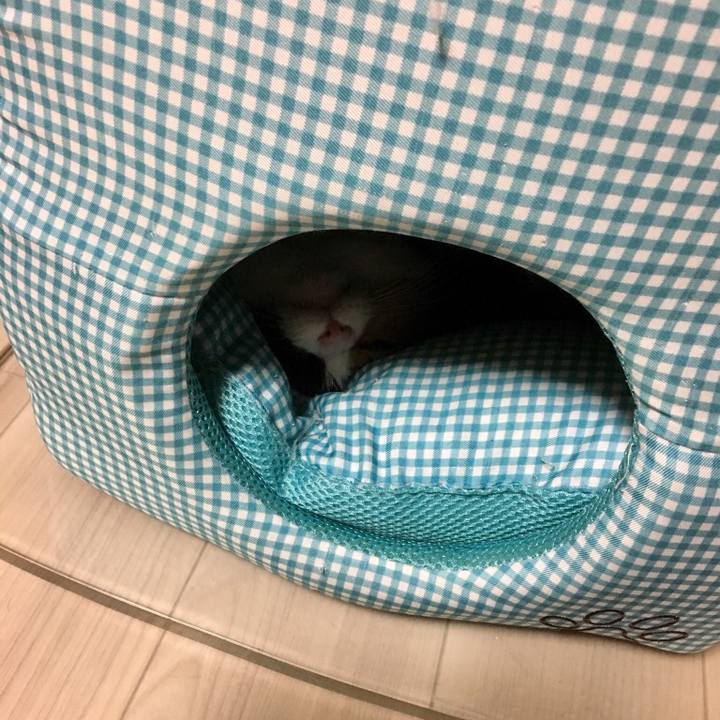 5f46db30 1645 470c 8b6b 1ccdabd84893 1520767109554