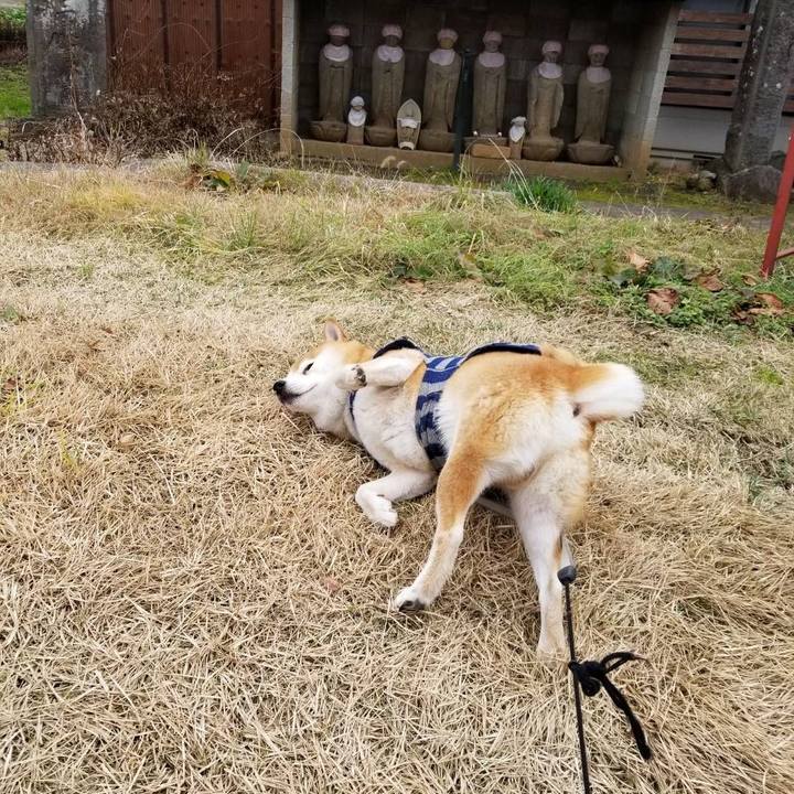 5f47031f 30f8 4289 a477 ced040827268 1576989086288