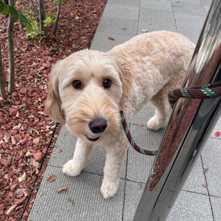 5f470743 46ae 45a4 88f0 40fc54dde8b6 1760316450190