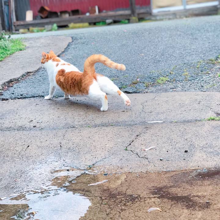 5f470857 a5c8 431c 92dd 7511b949e560 1523761074193