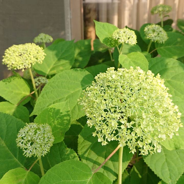 5f474265 7fd6 4368 84f3 c6586c20b6c7 1653519168592