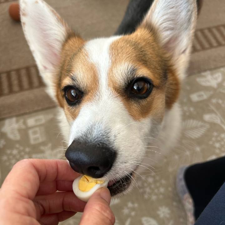 5f476627 0115 4ae8 a4e6 06ed9ff110e2 1762685411498