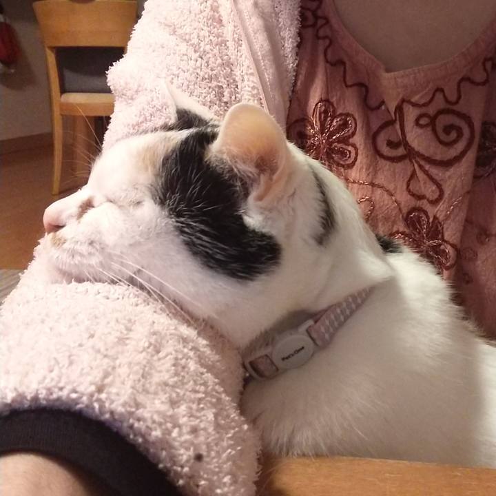 5f476d4d 5d84 458d bbb2 497042583826 1654598164415