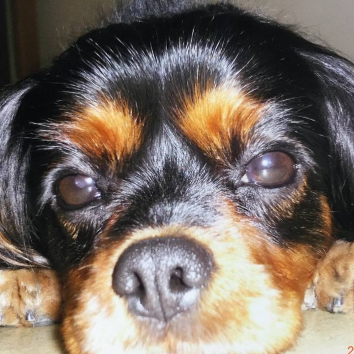 5f477319 5ede 4e67 82e4 8f20b2dccc35 1512805927610