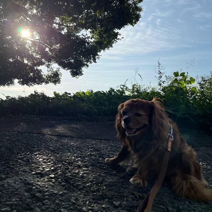 5f4791a0 eb7d 46c6 8bb0 47003c2ae517 1759800586480