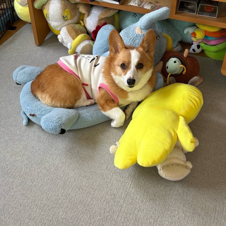 5f479330 d528 4d4d a70e ba3306e6c1f0 1772761300057