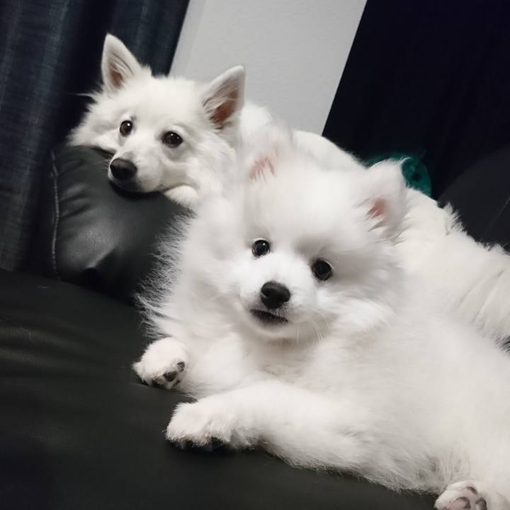 5f47ee53 4b54 46cc 8b6c b51d226b6ed3 1546953820727