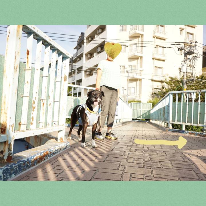 5f4808aa 2e56 42fb bd9d 6751f42c3447 1756857160131