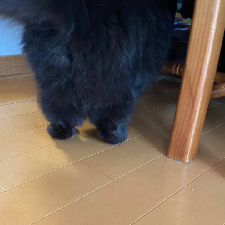 5f480fc8 4a1b 4368 a482 b6276aaaf199 1577780090000