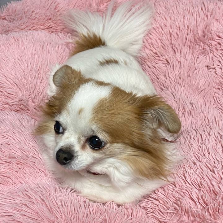 5f4822a1 159b 4007 bf8d 7b4b16e54644 1583324185153