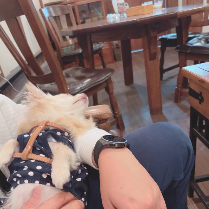 5f486d94 e7f9 4d3b 9f0f 778facc47c19 1745923442391