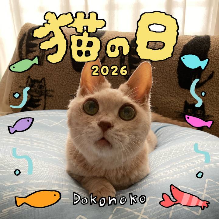 5f486edc 7e01 4325 8002 c9813835427f 1771729344496