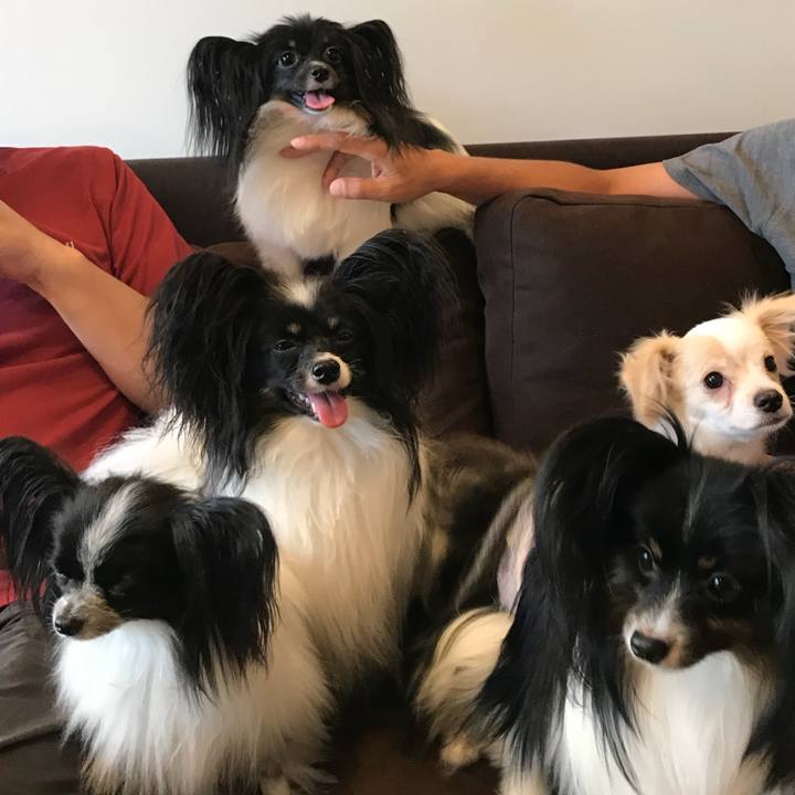 5f488d79 c618 4a5d 836b a20eb518cc74 1535287704047