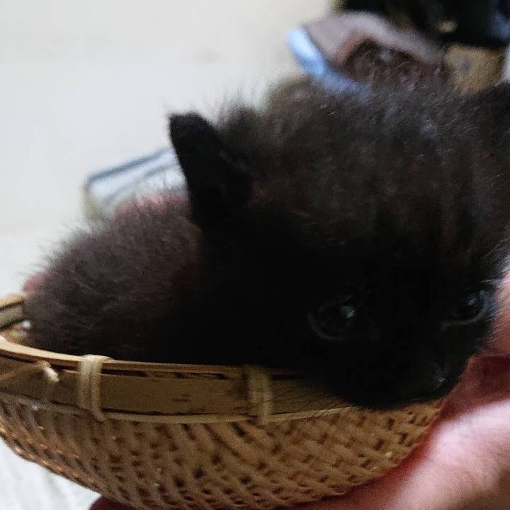 5f489df9 ade2 44d3 b0b1 f9f7dc817488 1592285380621