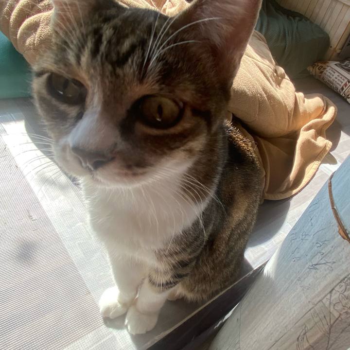 5f48d2c9 66ca 43e0 b954 c1359026e7a3 1636079265503