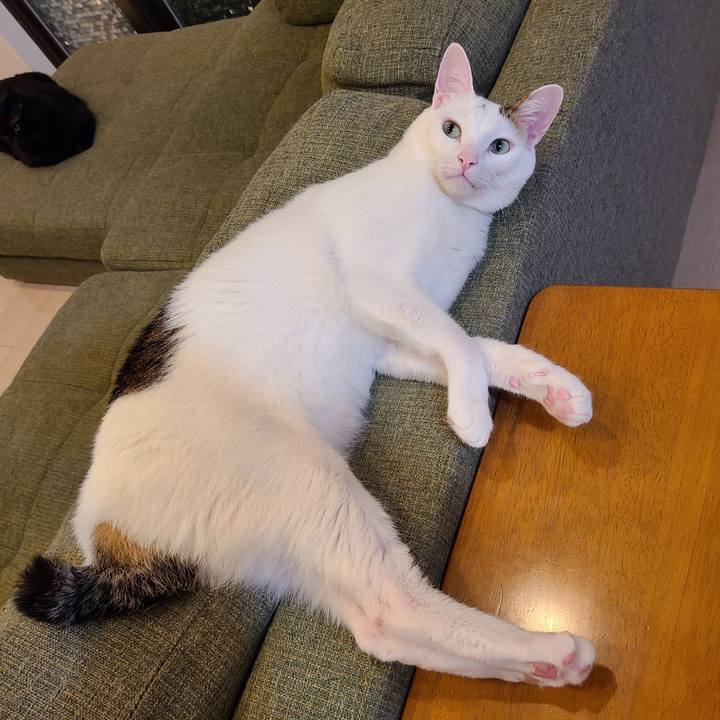 5f4953a2 489a 4d6f 922e e7f788840f43 1612274919514