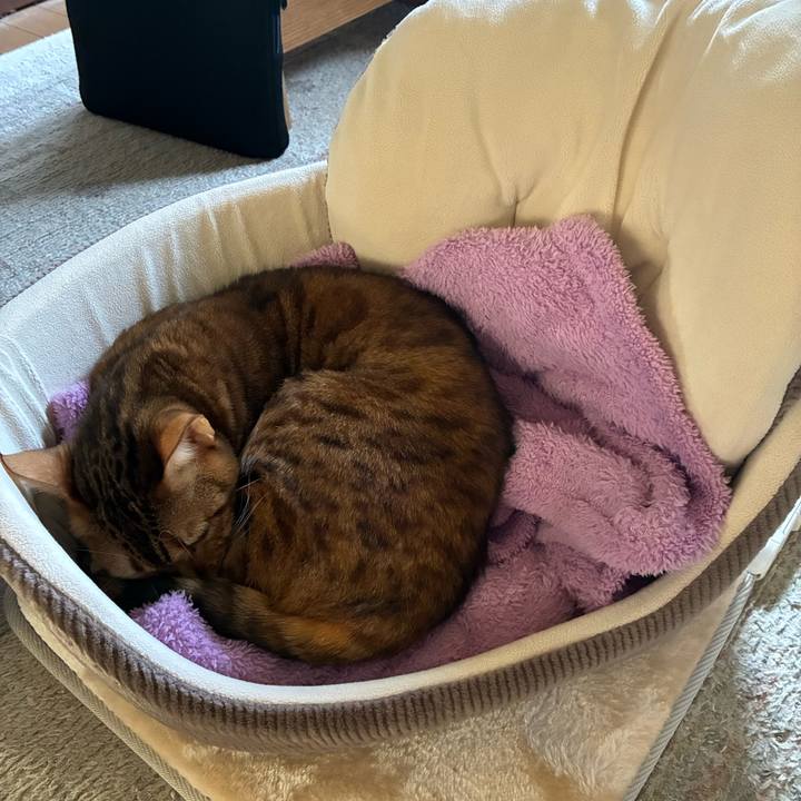 5f4990f6 d535 4a9e bbb3 6a62a9129db8 1761965132064