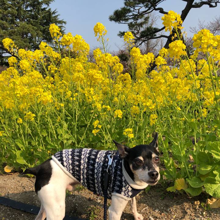 5f499226 09a9 4c66 a616 6524a8d3a82f 1521942604262