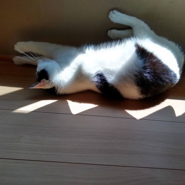 5f4993b4 859f 421c b028 57cc333fc346 1558699999904