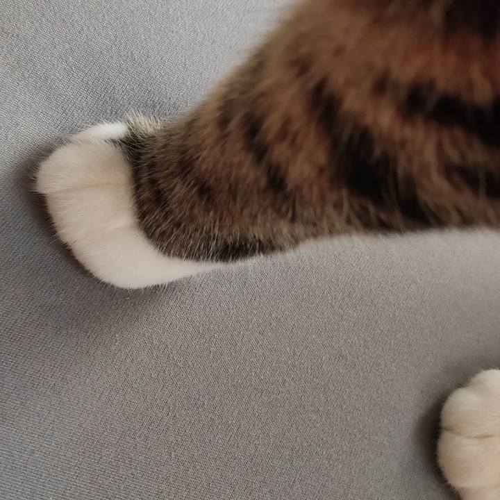 5f49d2a9 17b0 4485 a15d d0787dda9021 1677385792384