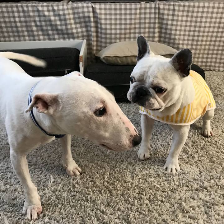 5f49da58 4776 426c be54 29b6c238e91c 1535526611559