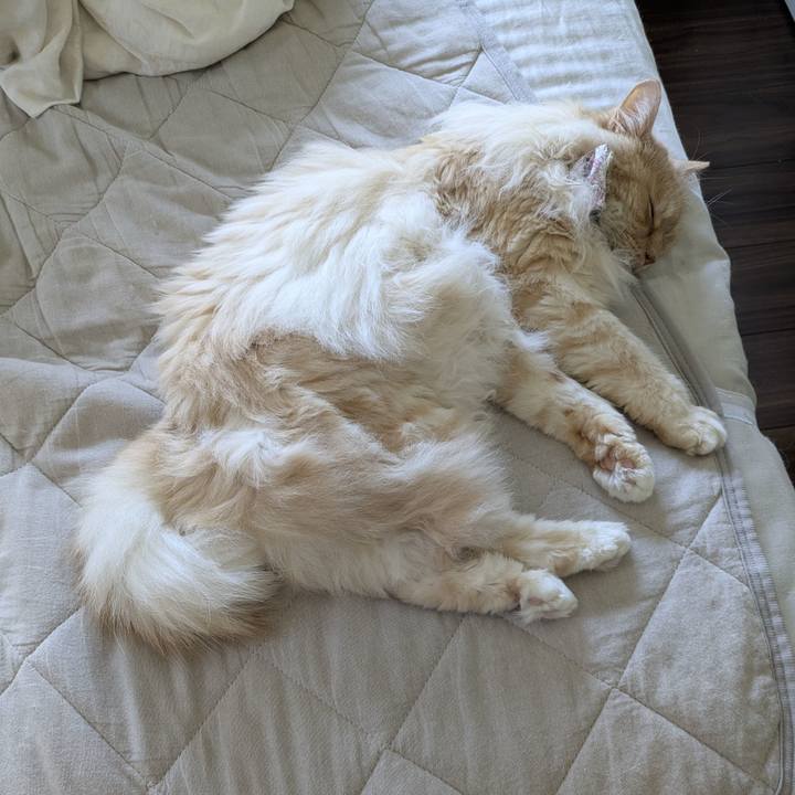 5f49dd48 90ab 490f 8a54 b1b8e2e2c5f6 1750297177570