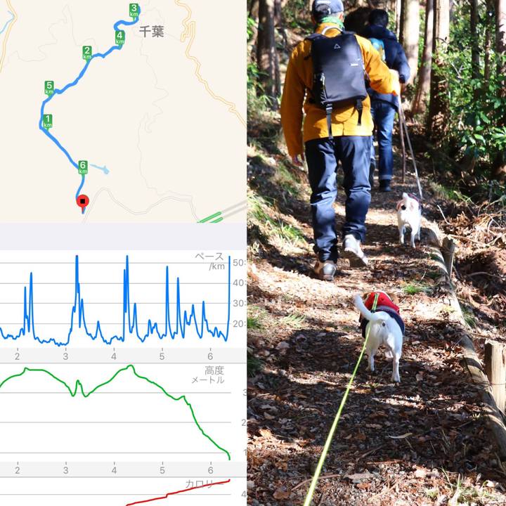 5f49f6d7 43fa 4944 bdc0 80b4290e93dd 1546163087093