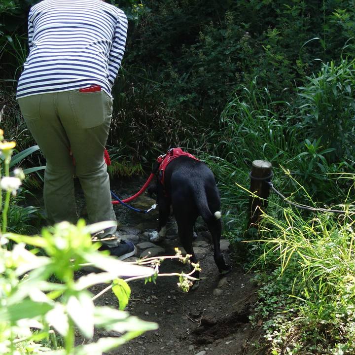 5f49ffcd 6e9d 4fe3 8e32 641a27cc9765 1590281887972