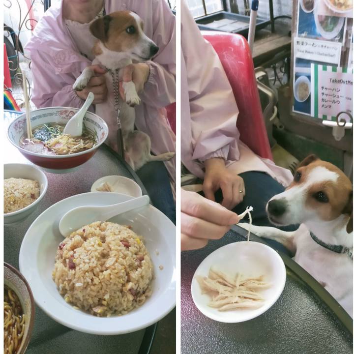 5f4a0eab 11d1 4ada 8460 f61f0c2f1003 1761989699765