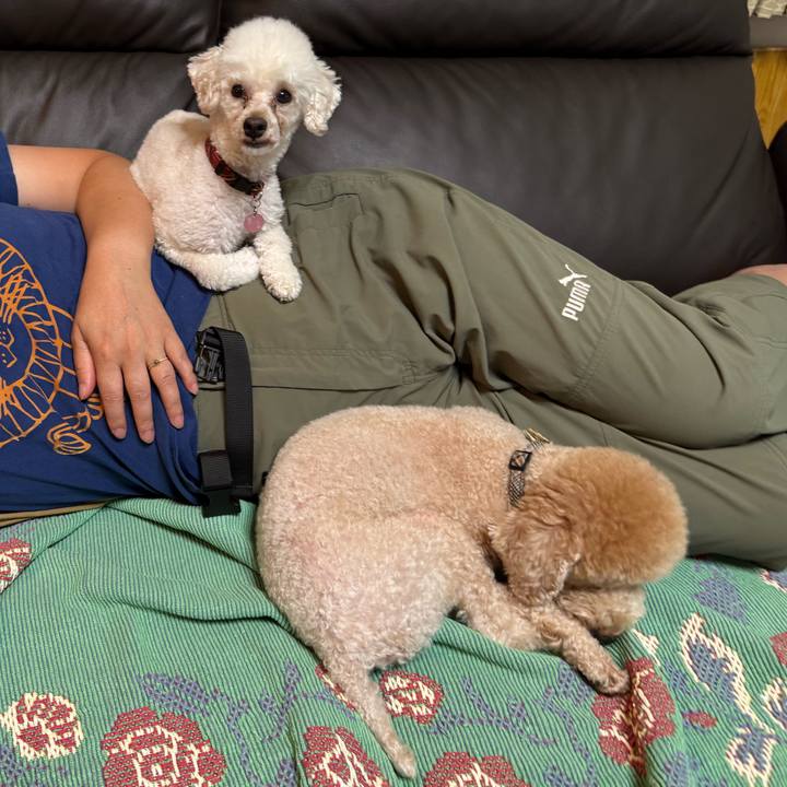 5f4a1e2c 4c74 4b09 b22e d8440222caf6 1759930238954