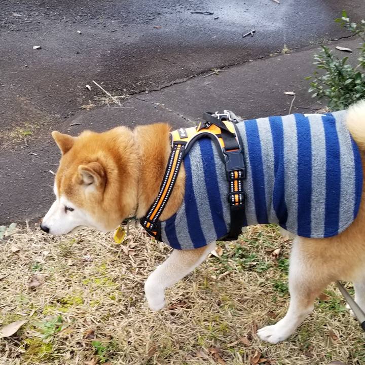 5f4a30f7 a459 4c7b a886 9f0618e21a57 1637898479315