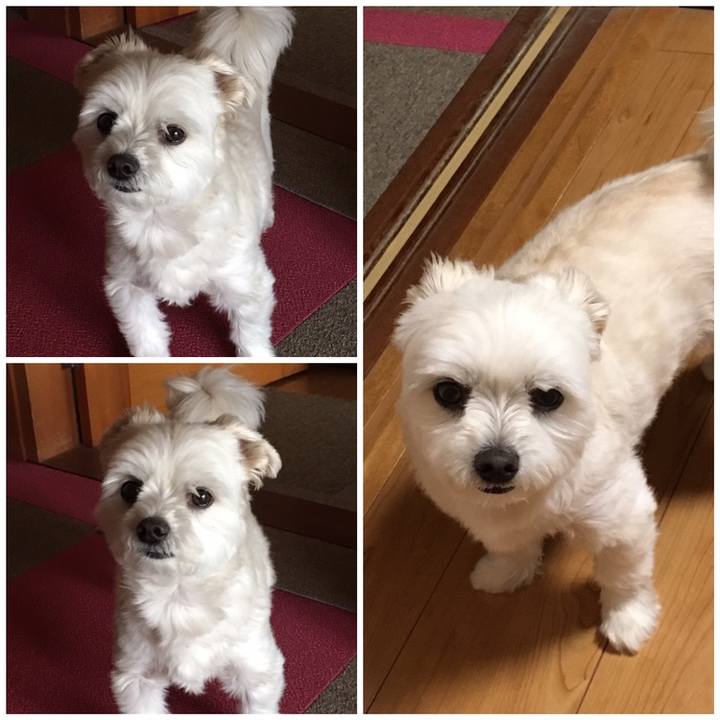 5f4a3f19 85d7 4dc0 bf7c 0ad8bd9963da 1558241992204