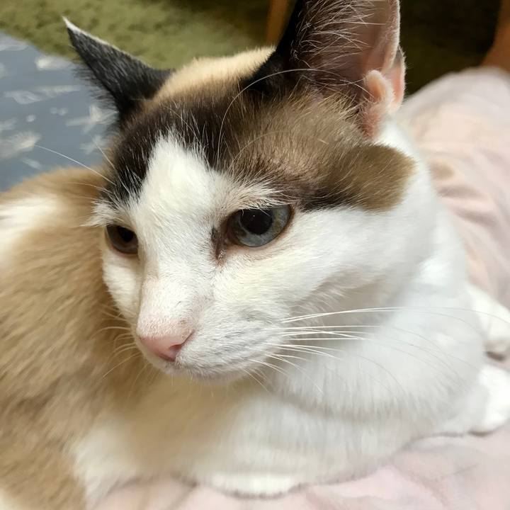 5f4a45b1 8b44 428f a9ae e2d337a61e59 1589774104425