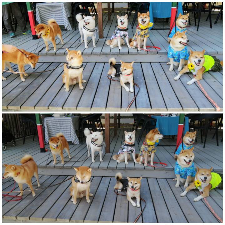 5f4a4f77 5b11 4e68 959c 6c16974ee6d4 1627196397616