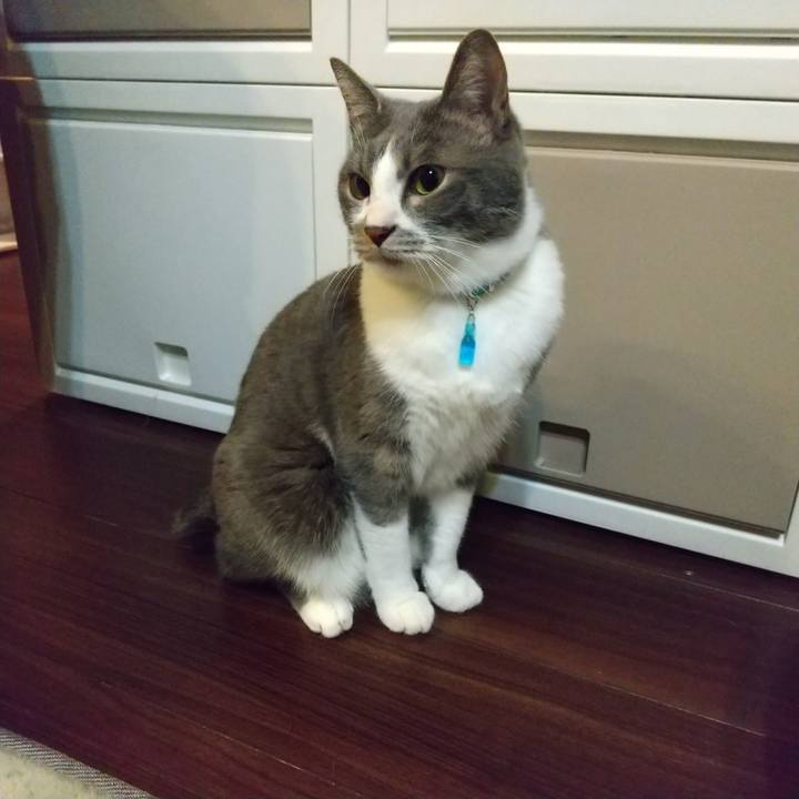 5f4a5f5f 4798 4be7 ba69 df500c593d6f 1642024716377