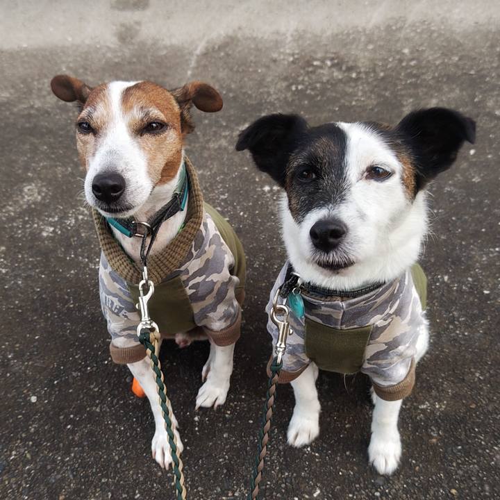 5f4a6033 33aa 4dde a912 99b00bc1b25c 1762813951845