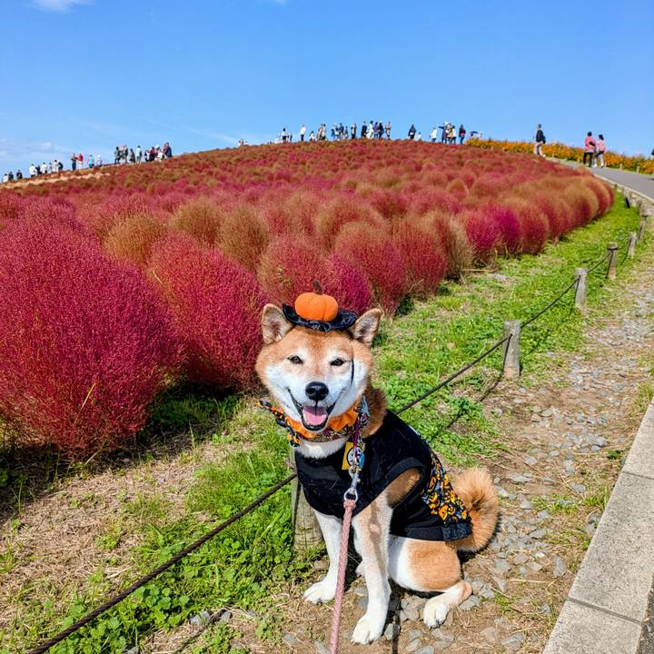 5f4a7700 701d 4124 a695 4c629d1911b9 1761736650202