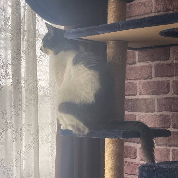 5f4a8e94 7be6 4441 a0c6 854298bb3bf7 1719868524871