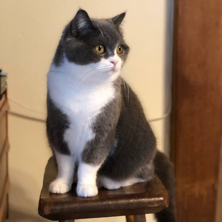 5f4aa31f a7c1 4cf8 9751 b5d63201260b 1555370711643