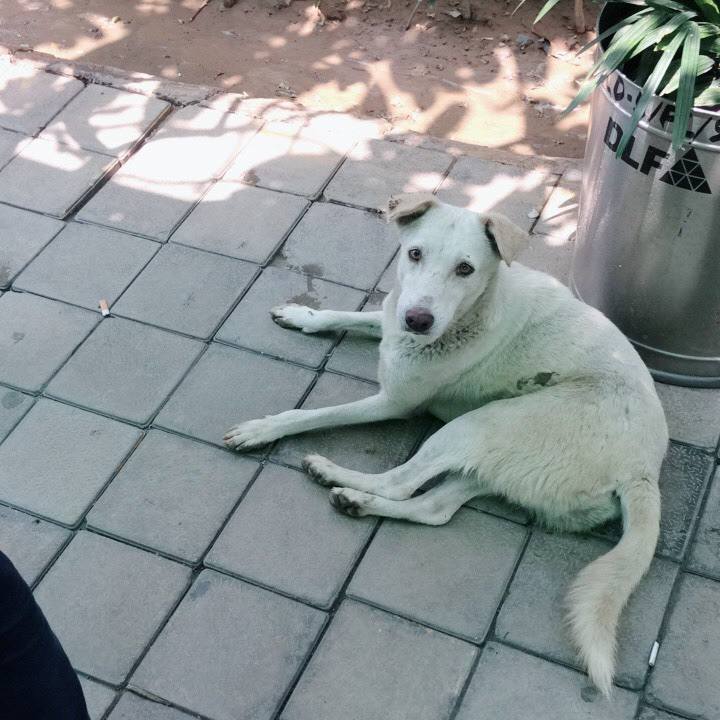 5f4aa4c9 76d7 4190 a72f e1504cb0c557 1525435435243