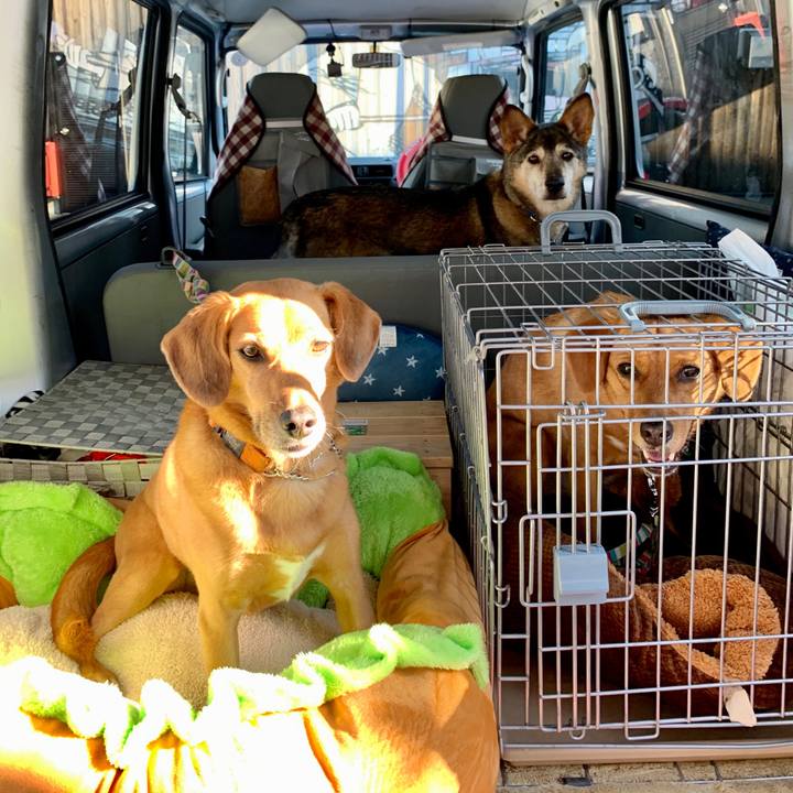 5f4aa7f3 6d09 4213 83d9 f183fba9f1d2 1573880791246