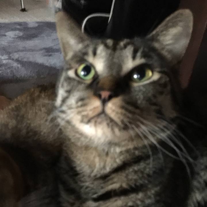 5f4ac02b a41f 4db2 9d90 fa52f2ea4555 1524629708385