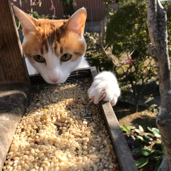 5f4ac3a8 89ba 44d4 8709 7d9f0c56888b 1511314002829