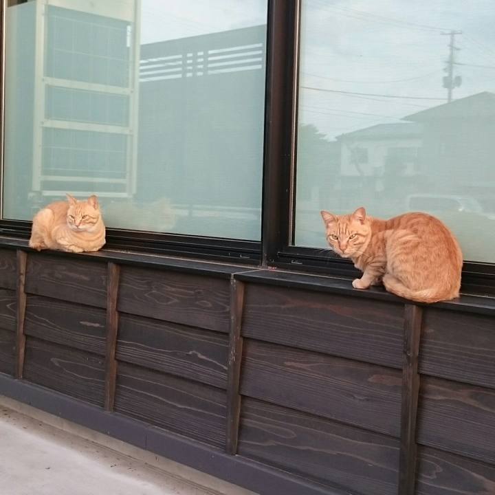 5f4acf2f 851b 4b59 b56c 64b6d04bfd83 1529391545372