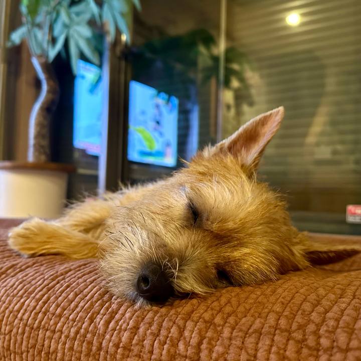 5f4ad3ce 2814 40e6 9142 c88743538c19 1724517816356