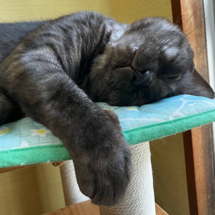 5f4ad939 c8e4 4336 86e9 6d2819984969 1722134153223