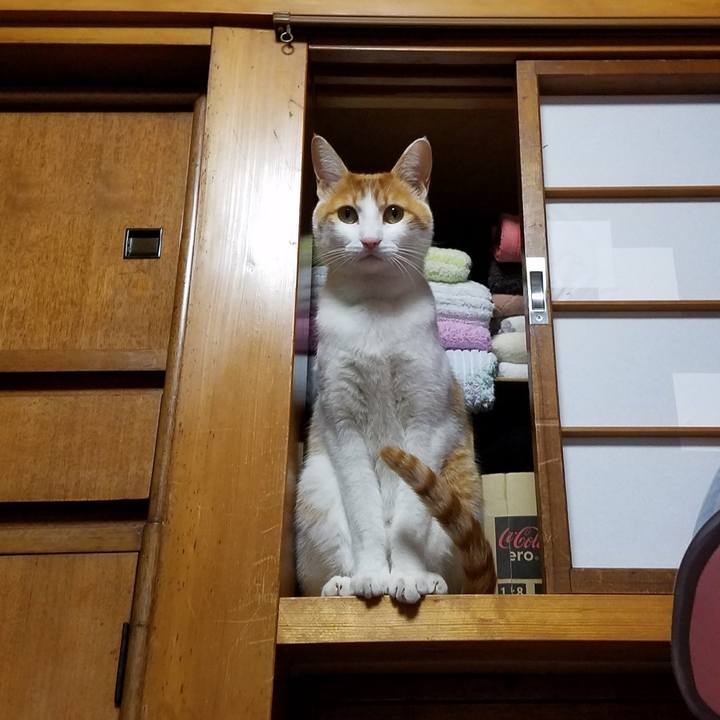 5f4afc5f f52a 4da0 b87d 682f7b2c4d52 1512127600628