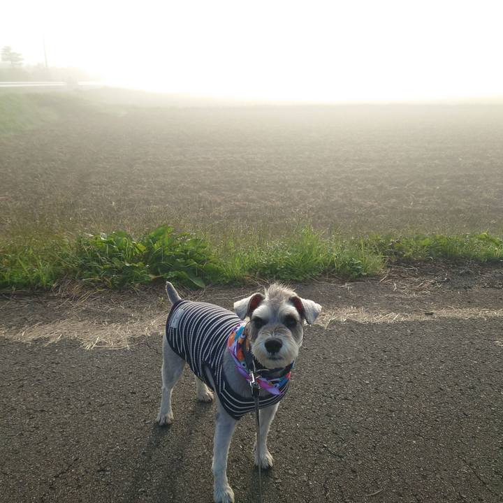 5f4b0b93 709f 4563 90c3 ff5b0df9821e 1761174239635