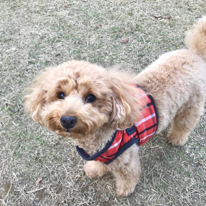 5f4b10ee 777e 4db9 bb4b 9bf221493de2 1542702417988